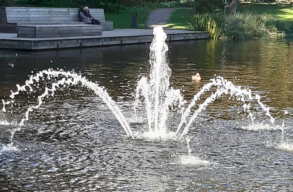 2024-09-28_chorreise_schlossgarten_springbrunnen_0521-s