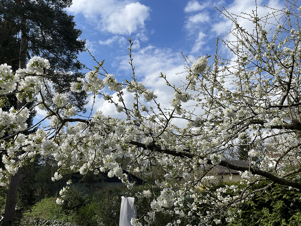 2025-04-20_ÖSK_Ostergruß_2